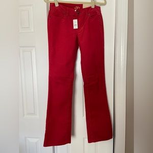 AnnTaylor Loft Curvy Boot Cut Pants